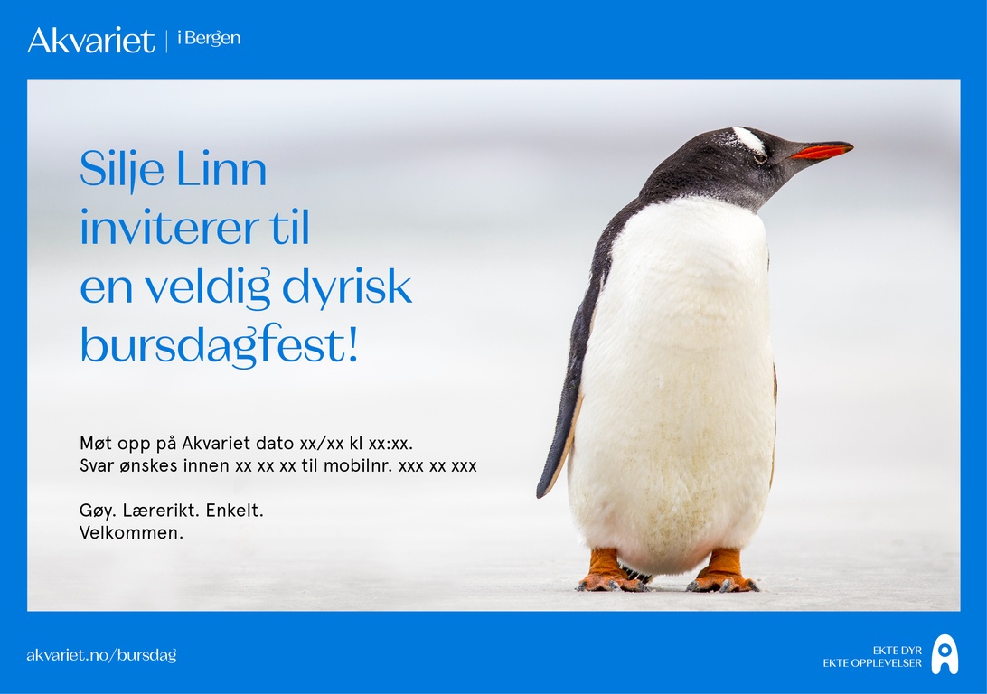 Forhåndsvisning av bursdagsinvitasjon med motivet Pingvin