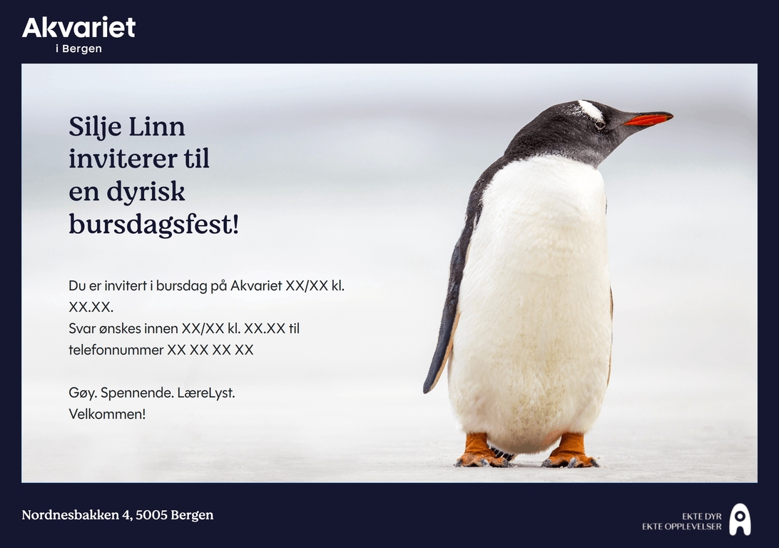 Forhåndsvisning av bursdagsinvitasjon med motivet Pingvin
