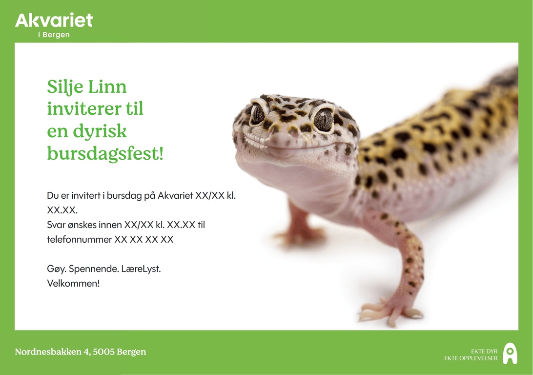 Forhåndsvisning av bursdagsinvitasjon med motivet Gekko