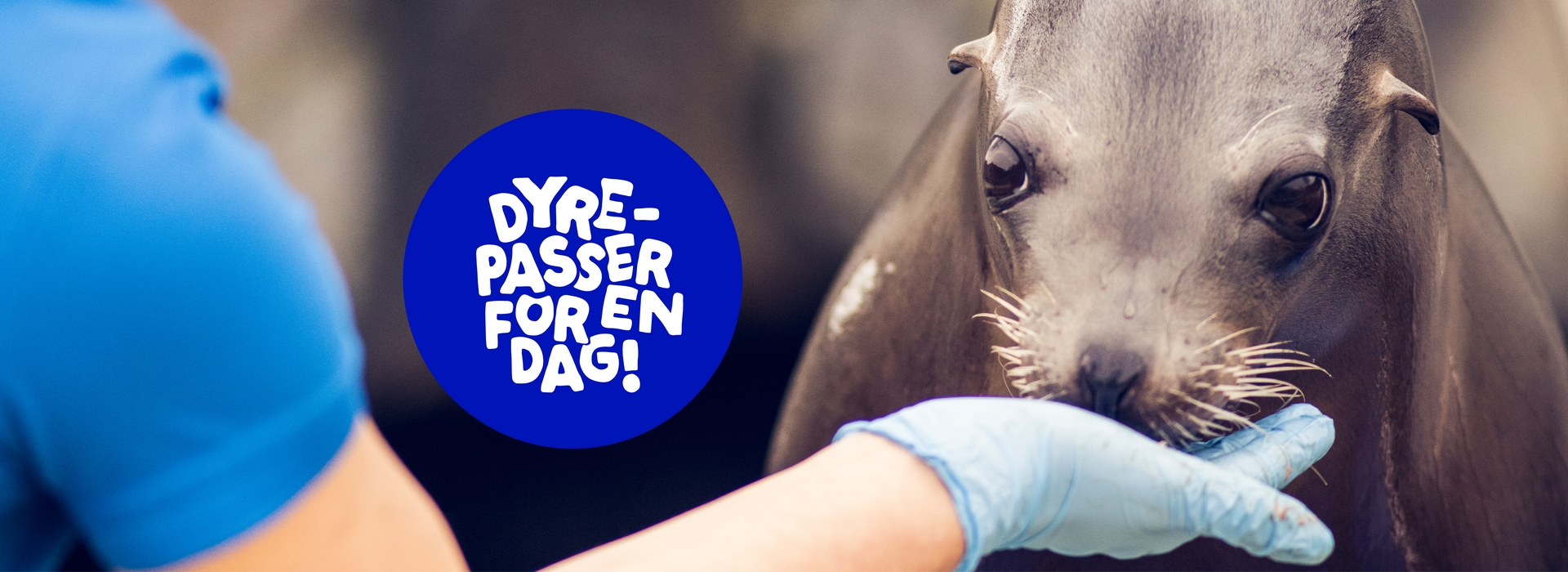 Dyrepasser for en dag