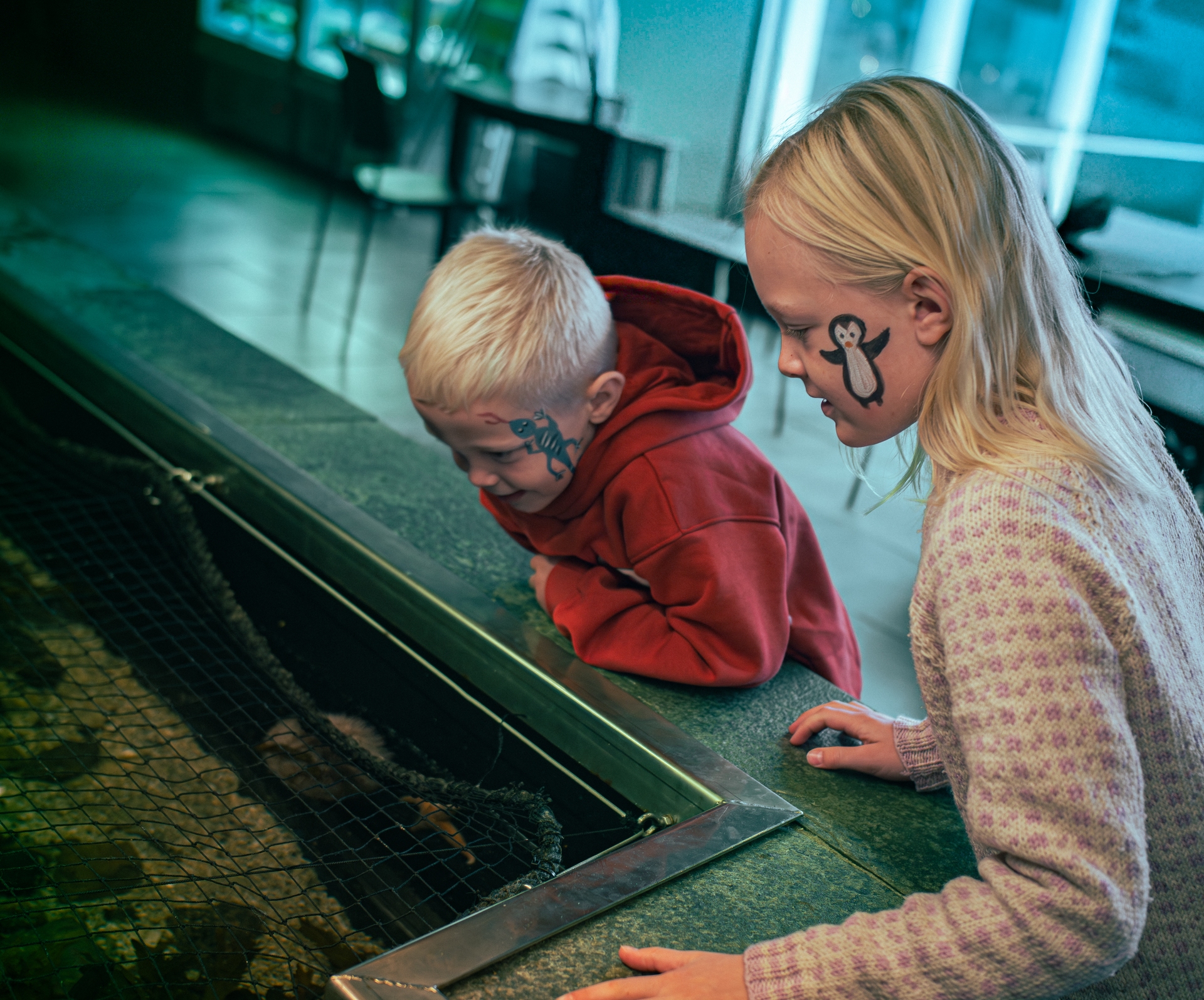 Opplevelsesgave i Bergen: Akvariets årskort