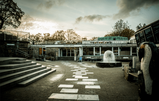 $section['image-alt-' . ($i + 1)]