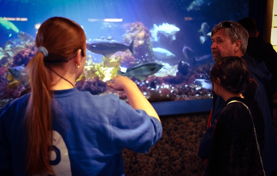 $section['image-alt-' . ($i + 1)]