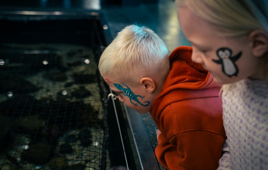 $section['image-alt-' . ($i + 1)]