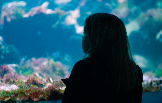 $section['image-alt-' . ($i + 1)]