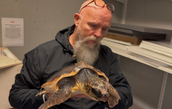 $section['image-alt-' . ($i + 1)]