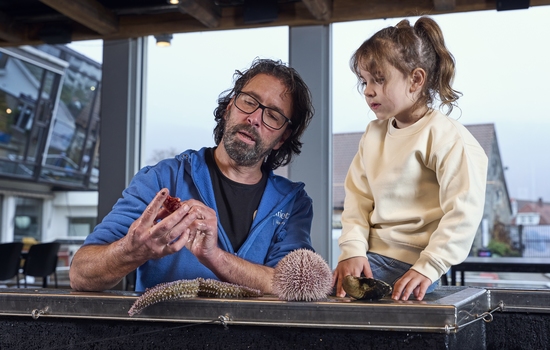 $section['image-alt-' . ($i + 1)]