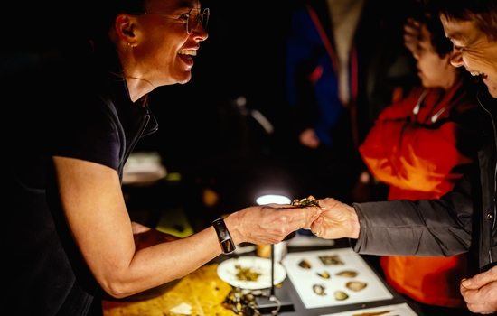 $section['image-alt-' . ($i + 1)]