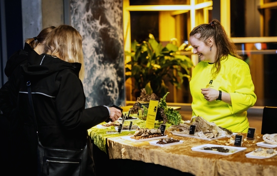 $section['image-alt-' . ($i + 1)]