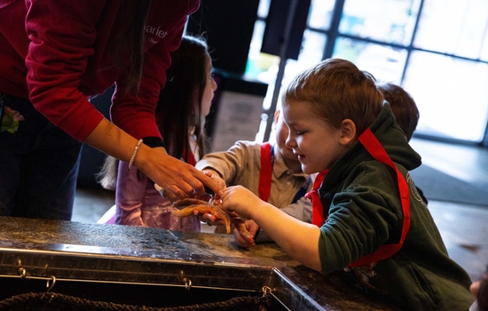 $section['image-alt-' . ($i + 1)]