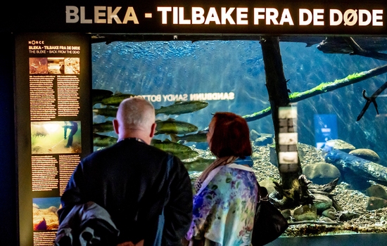 $section['image-alt-' . ($i + 1)]