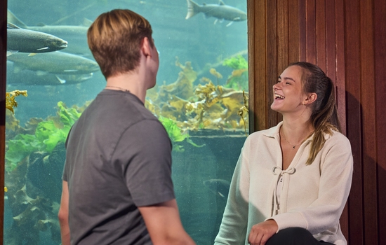 $section['image-alt-' . ($i + 1)]