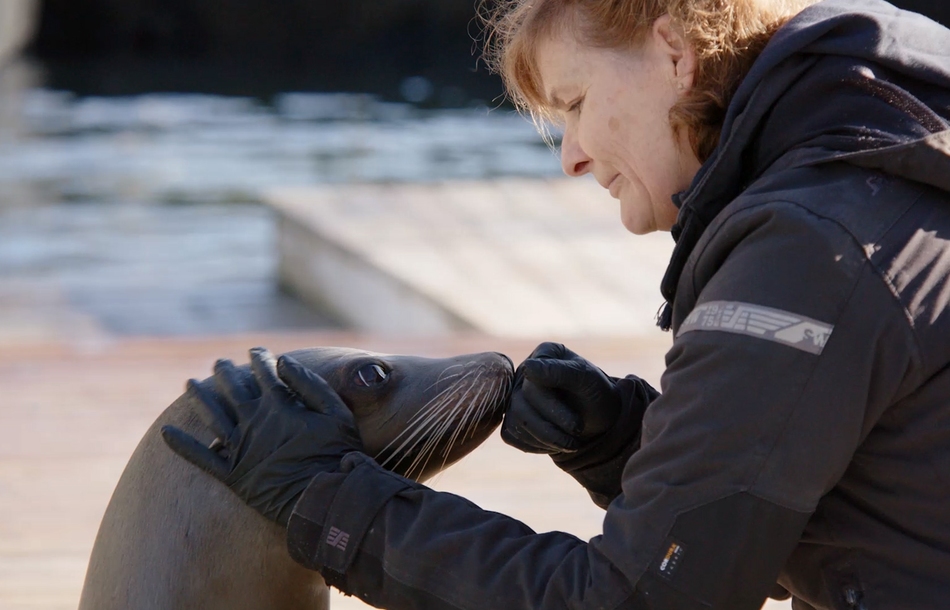 "Dyrevelferd på Akvariet" 