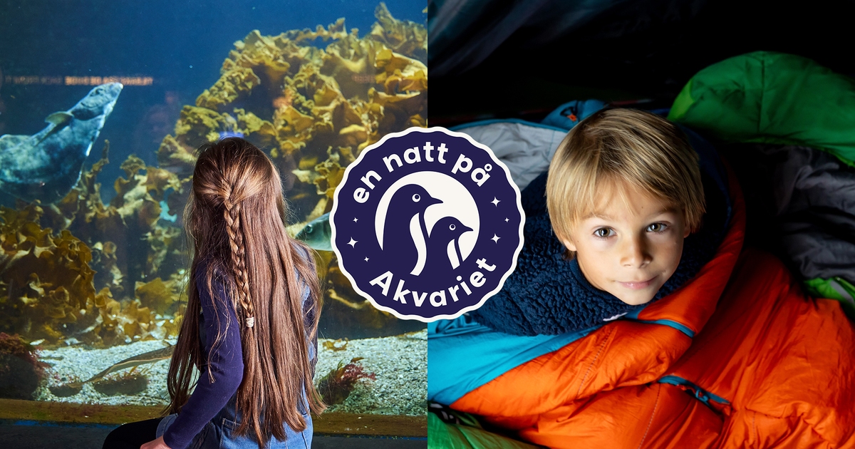 Overnatting på Akvariet
